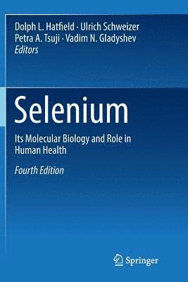 bokomslag Selenium