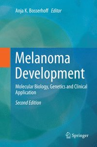 bokomslag Melanoma Development