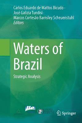 bokomslag Waters of Brazil