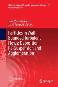bokomslag Particles in Wall-Bounded Turbulent Flows: Deposition, Re-Suspension and Agglomeration