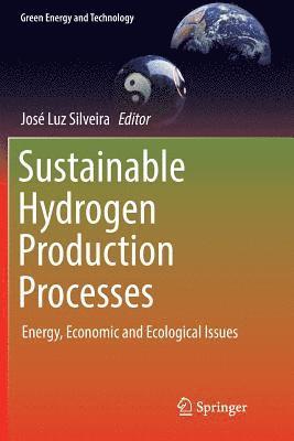 Sustainable Hydrogen Production Processes 1