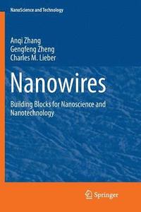 bokomslag Nanowires