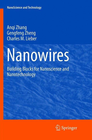 bokomslag Nanowires