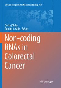 bokomslag Non-coding RNAs in Colorectal Cancer