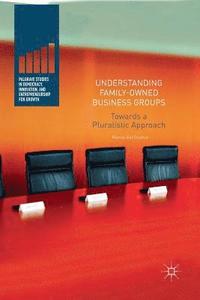 bokomslag Understanding Family-Owned Business Groups