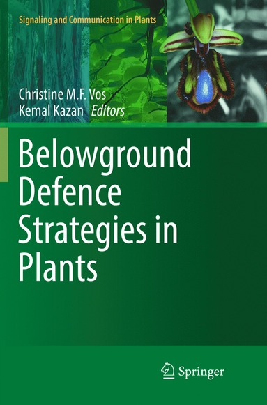 bokomslag Belowground Defence Strategies in Plants