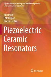 bokomslag Piezoelectric Ceramic Resonators