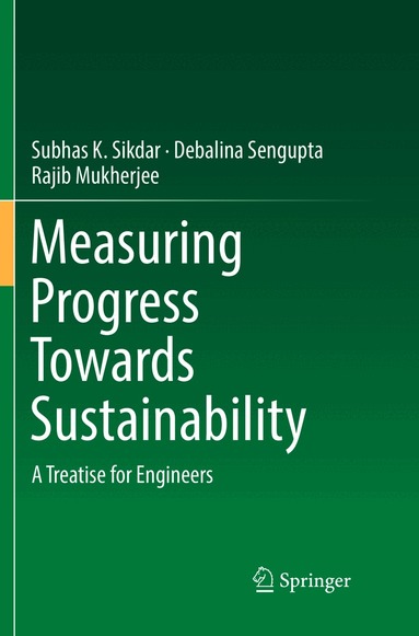 Subhas K. Sikdar, Debalina Sengupta, Rajib Mukherjee - Measuring Progress Towards Sustainability, Häftad