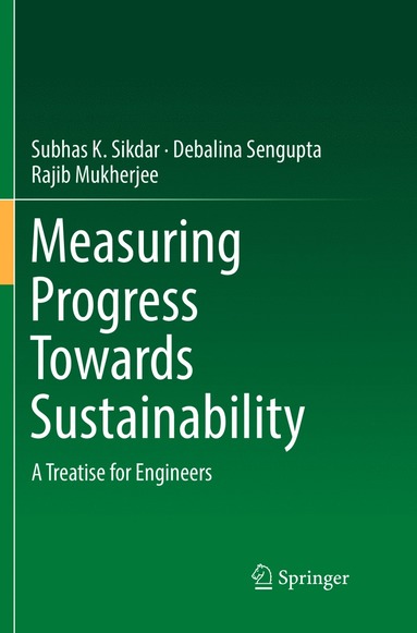 bokomslag Measuring Progress Towards Sustainability