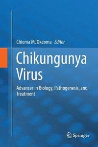 bokomslag Chikungunya Virus