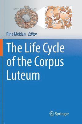 Rina Meidan - Life Cycle of the Corpus Luteum, Häftad