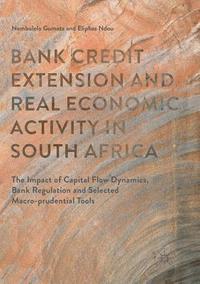 bokomslag Bank Credit Extension and Real Economic Activity in South Africa