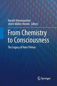 bokomslag From Chemistry to Consciousness