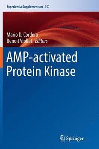 bokomslag AMP-activated Protein Kinase