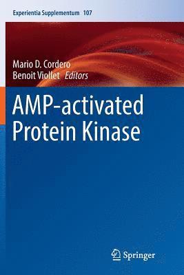 AMP-activated Protein Kinase 1