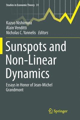 bokomslag Sunspots and Non-Linear Dynamics