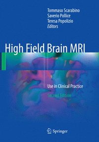 bokomslag High Field Brain MRI