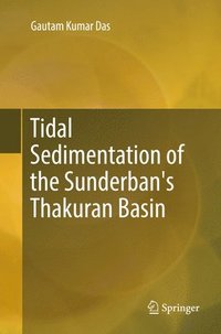 bokomslag Tidal Sedimentation of the Sunderban's Thakuran Basin