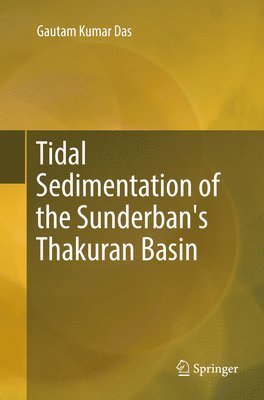 bokomslag Tidal Sedimentation of the Sunderban's Thakuran Basin