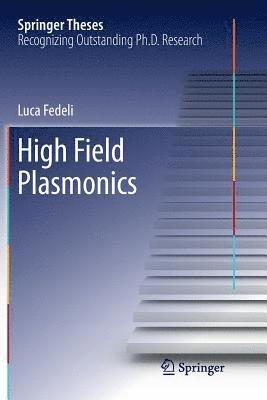bokomslag High Field Plasmonics