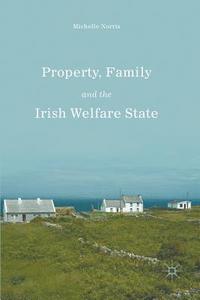 bokomslag Property, Family and the Irish Welfare State