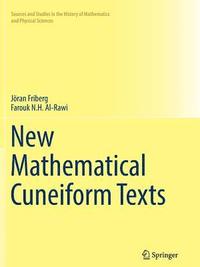 bokomslag New Mathematical Cuneiform Texts