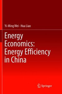 bokomslag Energy Economics: Energy Efficiency in China