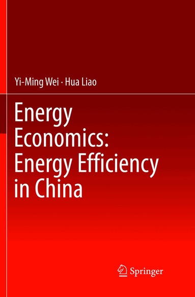 Yi-Ming Wei, Hua Liao - Energy Economics: Energy Efficiency in China, Häftad