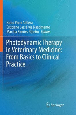 bokomslag Photodynamic Therapy in Veterinary Medicine: From Basics to Clinical Practice