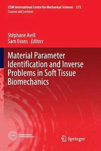 bokomslag Material Parameter Identification and Inverse Problems in Soft Tissue Biomechanics