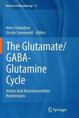 The Glutamate/GABA-Glutamine Cycle 1