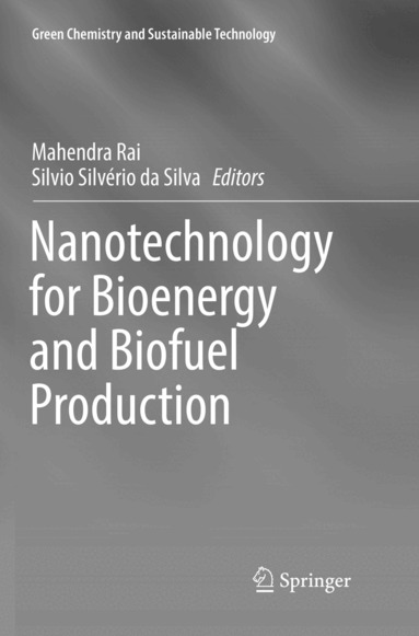 Mahendra Rai, Silvio Silvério da Silva - Nanotechnology for Bioenergy and Biofuel Production, Häftad