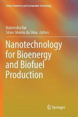 Mahendra Rai, Silvio Silvério da Silva, Silvio Silvério Da Silva - Nanotechnology for Bioenergy and Biofuel Production, Häftad