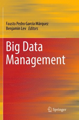 bokomslag Big Data Management