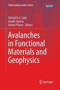 bokomslag Avalanches in Functional Materials and Geophysics