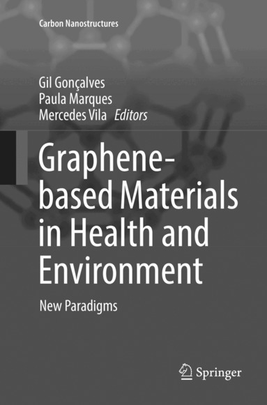 Gil Gonçalves, Paula Marques, Mercedes Vila - Graphene-based Materials in Health and Environment, Häftad