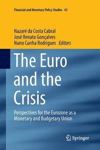 bokomslag The Euro and the Crisis