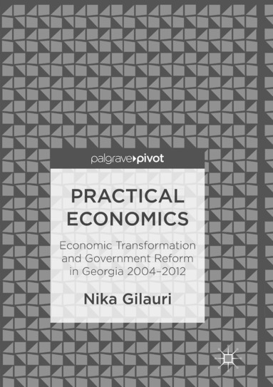 bokomslag Practical Economics