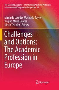 bokomslag Challenges and Options: The Academic Profession in Europe