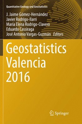 bokomslag Geostatistics Valencia 2016