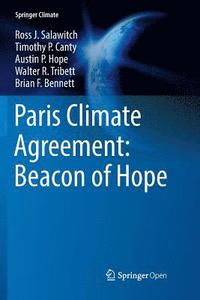 bokomslag Paris Climate Agreement: Beacon of Hope