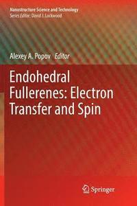 bokomslag Endohedral Fullerenes: Electron Transfer and Spin