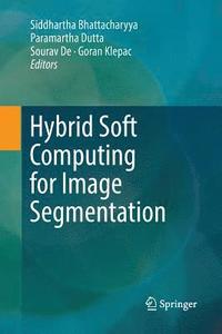 bokomslag Hybrid Soft Computing for Image Segmentation