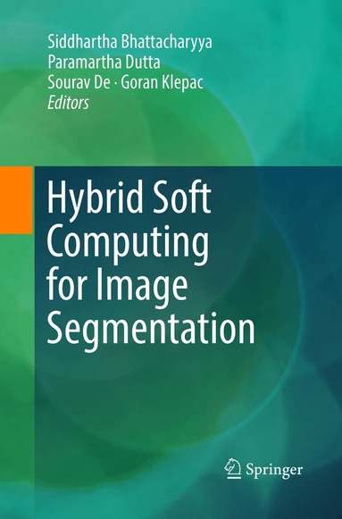Siddhartha Bhattacharyya, Paramartha Dutta, Sourav De, Goran Klepac - Hybrid Soft Computing for Image Segmentation, Häftad