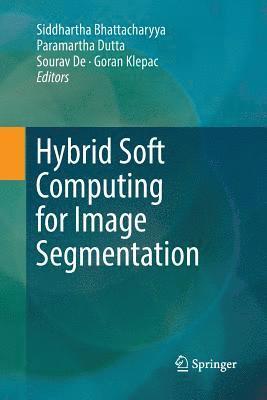 bokomslag Hybrid Soft Computing for Image Segmentation