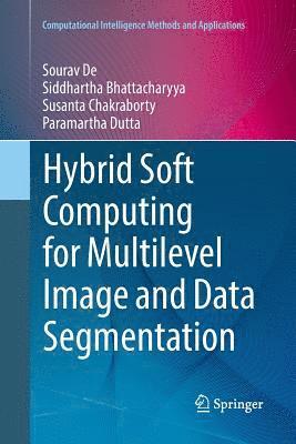 bokomslag Hybrid Soft Computing for Multilevel Image and Data Segmentation