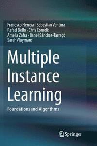 bokomslag Multiple Instance Learning