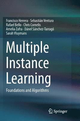 bokomslag Multiple Instance Learning