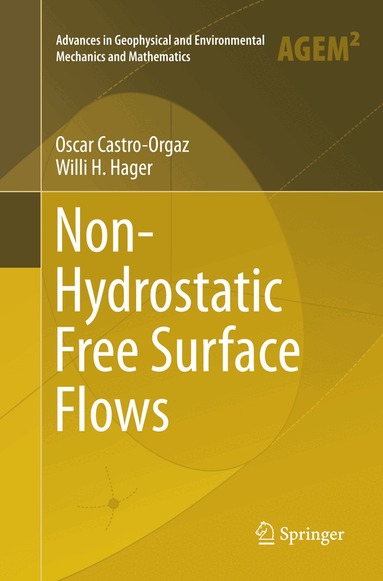 Oscar Castro-Orgaz, Willi H. Hager - Non-Hydrostatic Free Surface Flows, Häftad