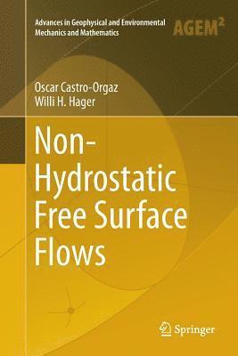 Non-Hydrostatic Free Surface Flows 1